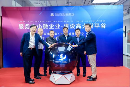 降本提质增效 平谷中关村中小企业服务中心盛大开业，赋能区域中小企业技术跃升