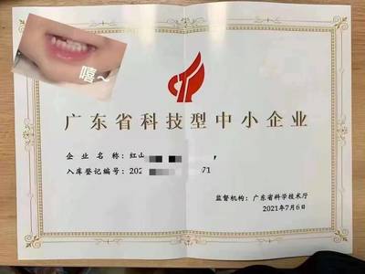 郑州申请科技型中小企业的条件与技术服务支持解析